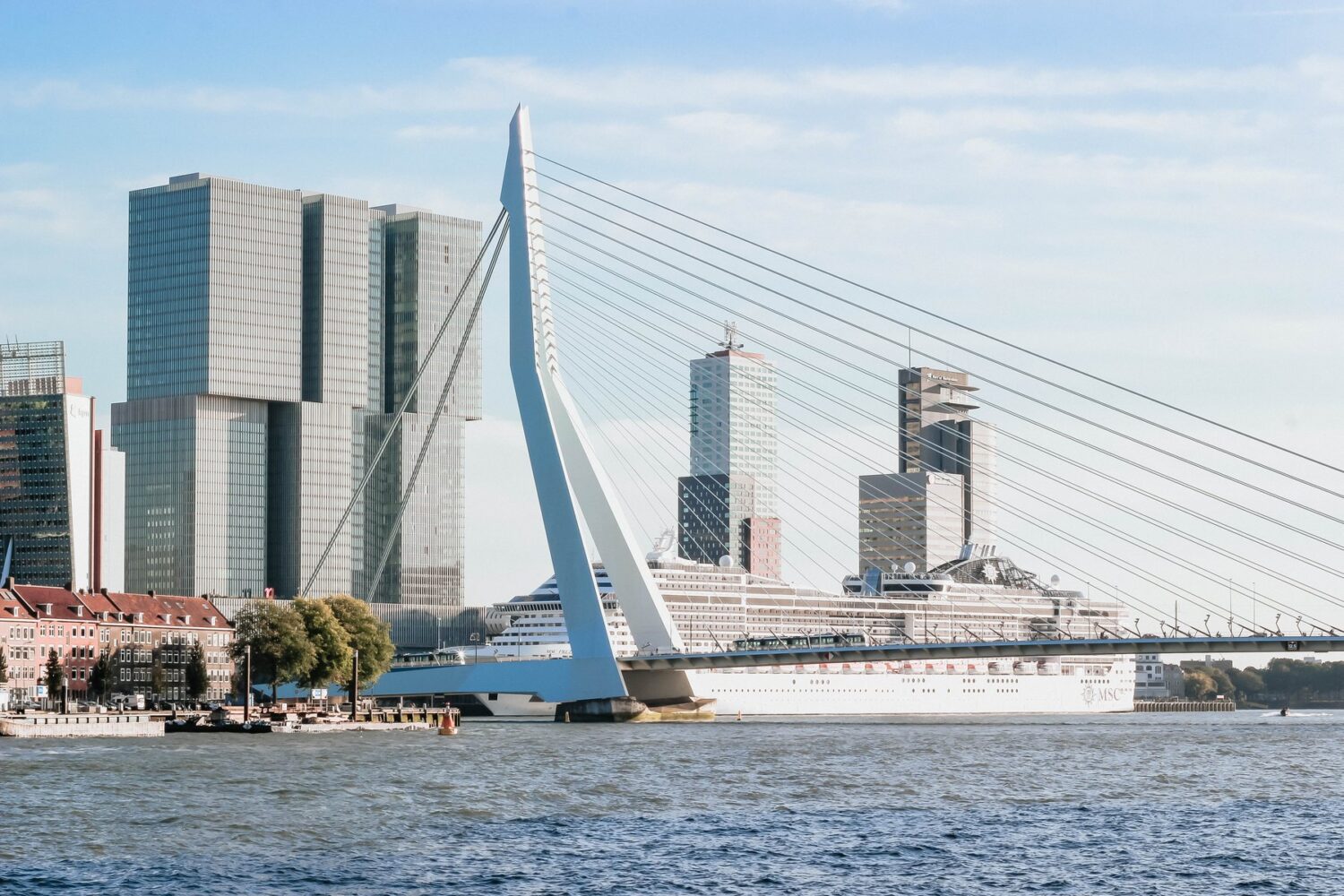 Rotterdam, Erasmus Bridge